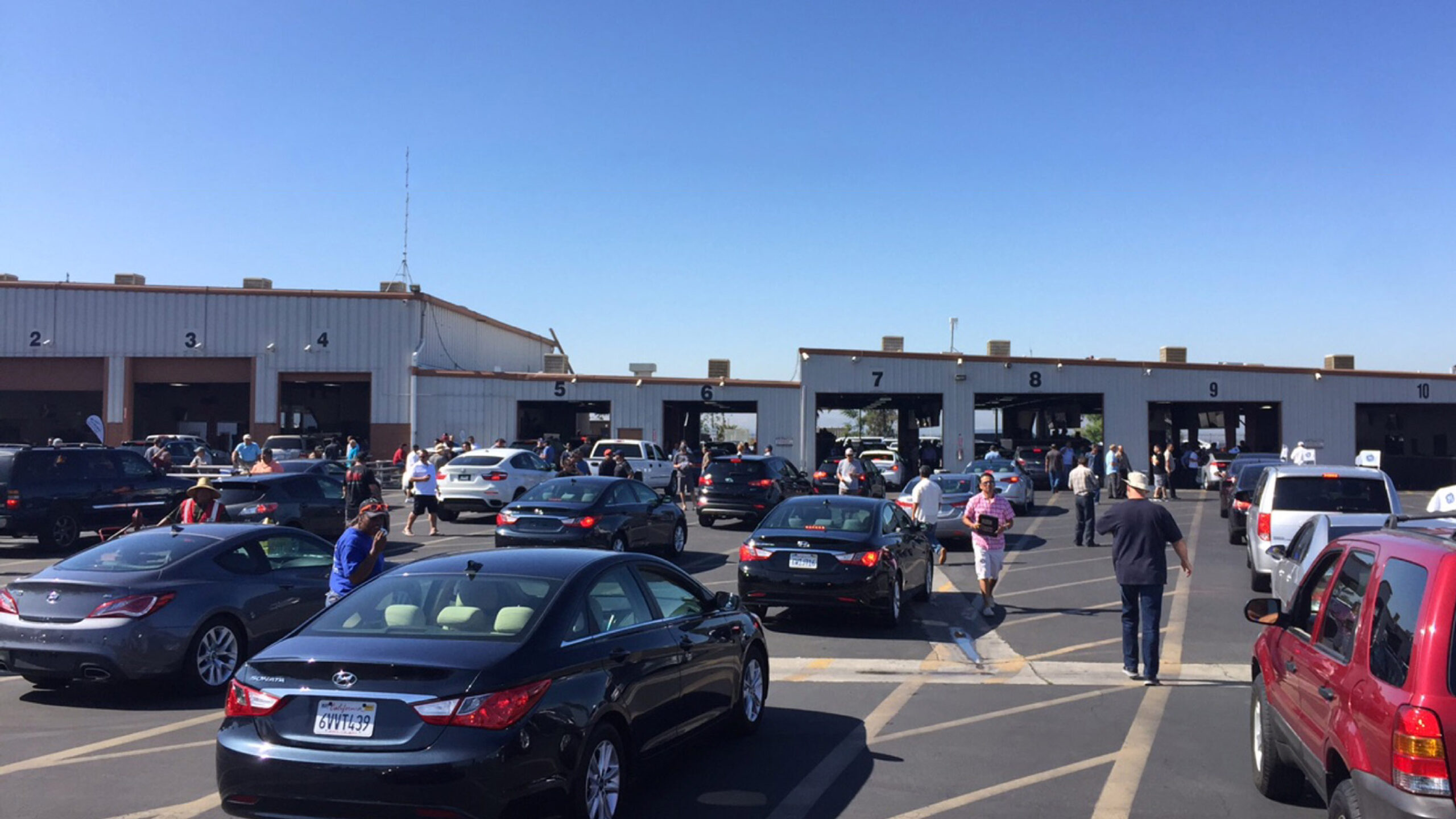 Navigating the Complex World of Dealer Auction Procurement