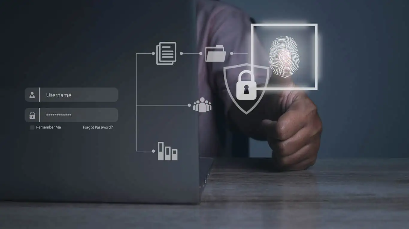 Beyond Numbers: The Art of Provenance and Authenticity in Collectibles